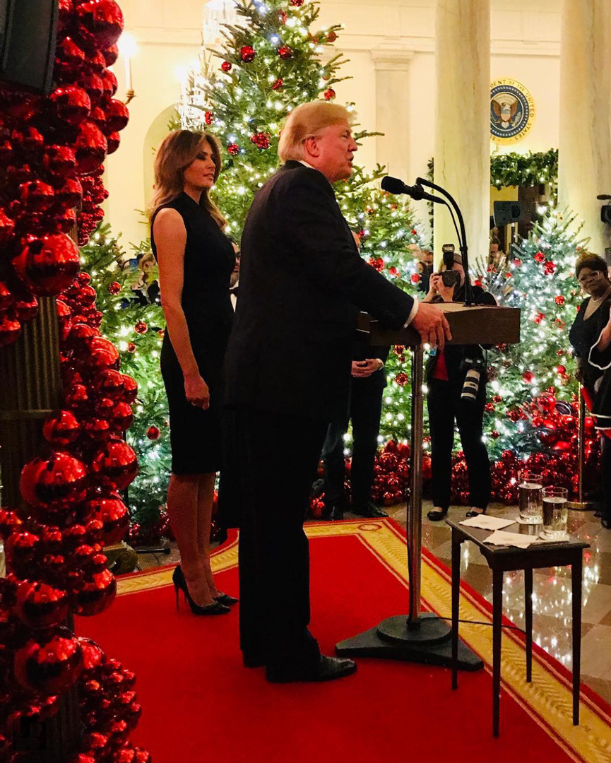 Melania Trump Dons Sleeveless Costume for White Home Christmas Melania Trump Dons Sleeveless Costume for White Home Christmas
